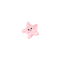 Starfish Mini Hair Claw